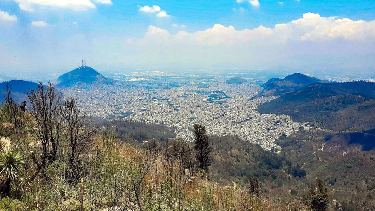 Redes Ciudad de México